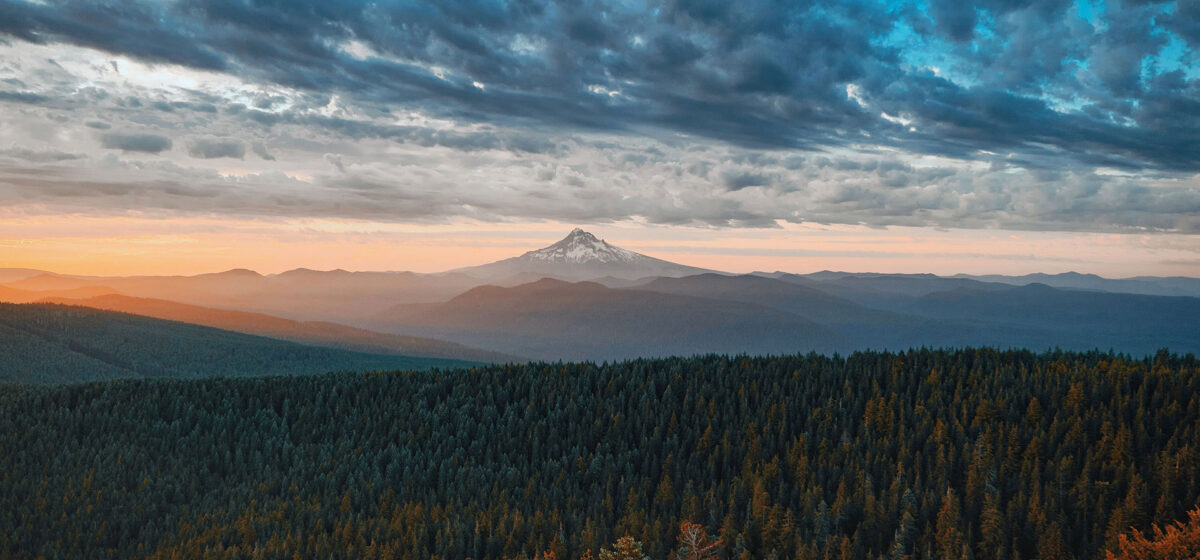 Sample Post Format Gallery