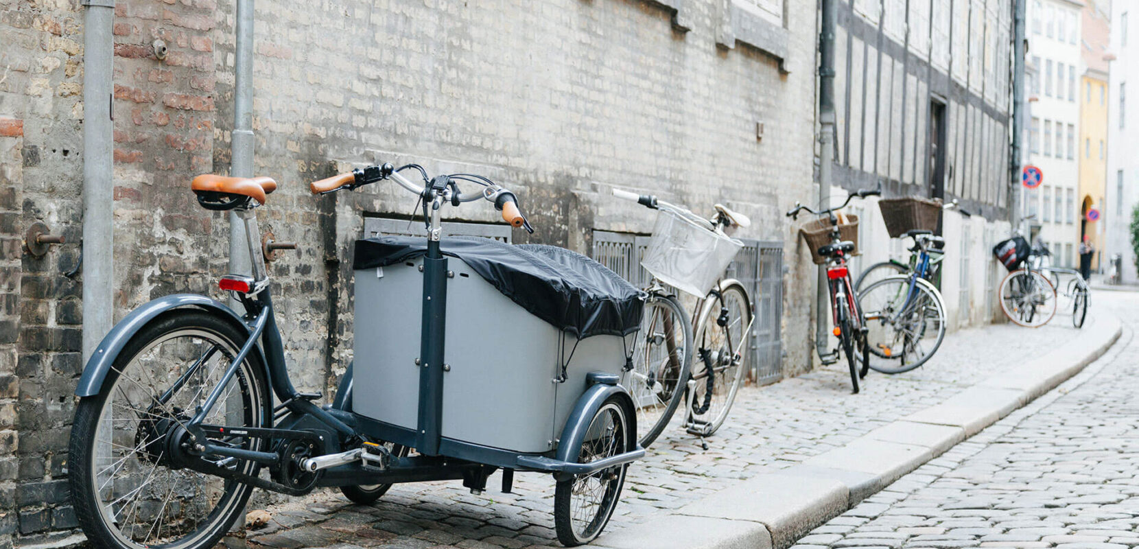 Ideas On How To Decorate Outside This Christmas  Copy